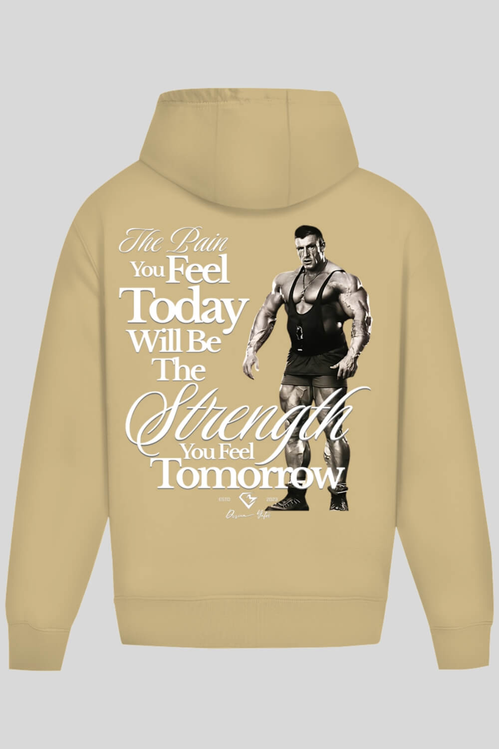 Rückansicht Pain Oversize Hoodie Sand für Männer und Frauen